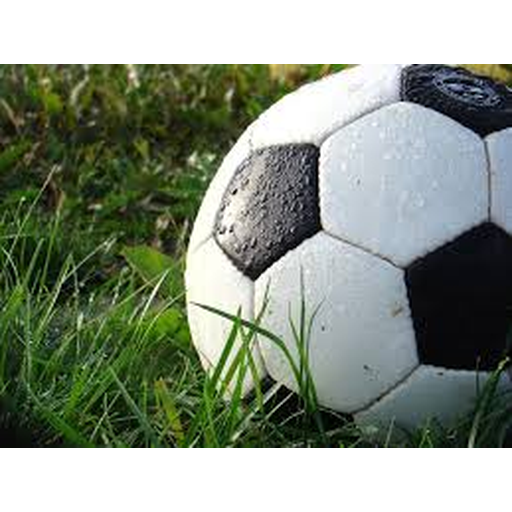 FIFA World Cup Logo